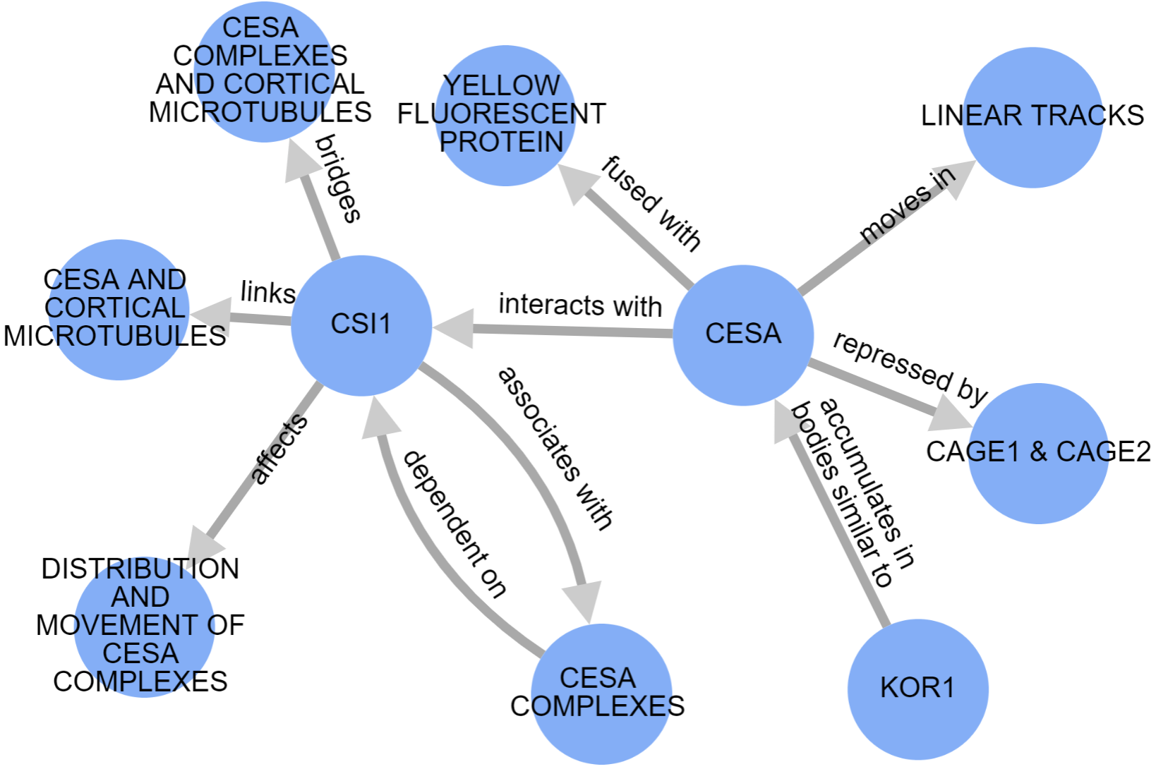 A sample entity-relationship graph